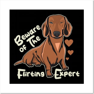 Funny Daschund Beware of The Flirting Expert Posters and Art